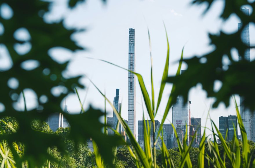Carbon Credit Carbon Credit