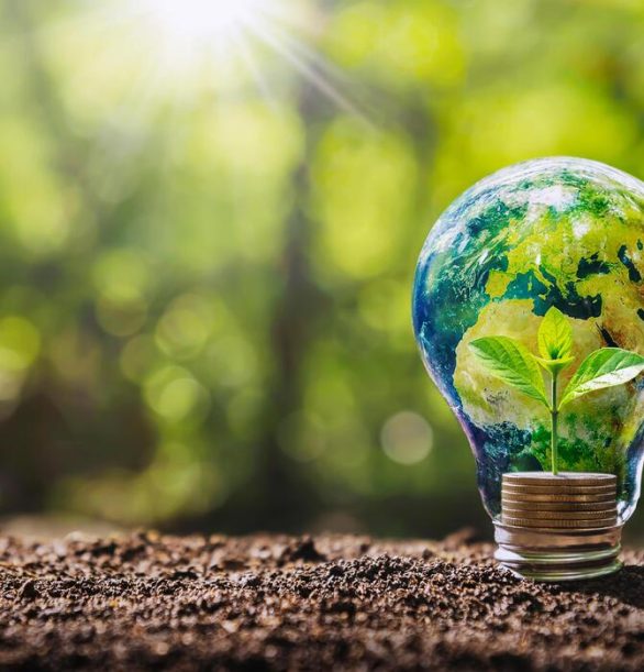 globe-on-light-bulb-with-small-tree-growing-on-money-concept-business-energy-in-nature-on-the-world-elements-of-this-image-furnished-by-nasa-free-photo globe-on-light-bulb-with-small-tree-growing-on-money-concept-business-energy-in-nature-on-the-world-elements-of-this-image-furnished-by-nasa-free-photo