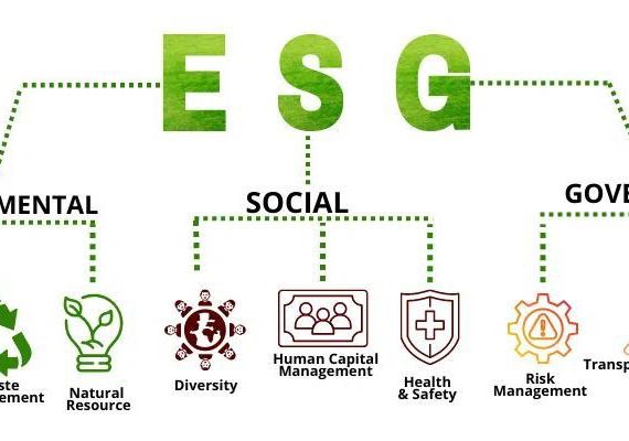 ECOVERITAS WHO WE ARE ECOVERITAS WHO WE ARE