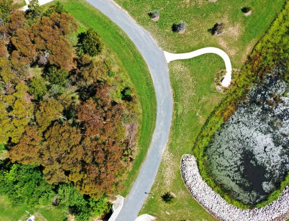 geonadir-VxA2nNgioRY-unsplash geonadir-VxA2nNgioRY-unsplash